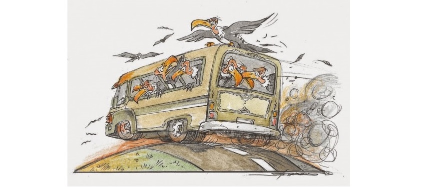 ¿Útimo bondi a Finisterre?