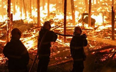 Bolsonaro acusa de los incendios en la selva amazónica a las ONG y los gobernadores