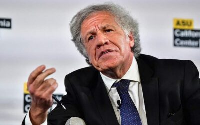 ¿Qué se tiene que meter la OEA?
